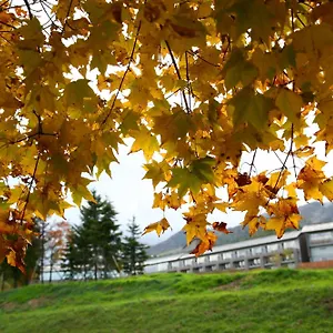 传统日式旅馆 富良野酒店, 中富良野町